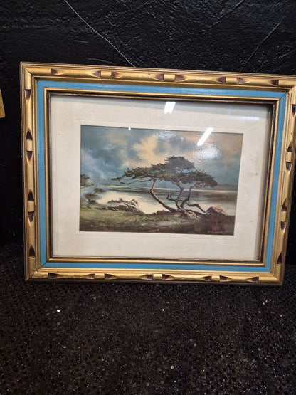 Vintage Verna McCubbin Monterey Bay Cypress Tree, 15" × 12"