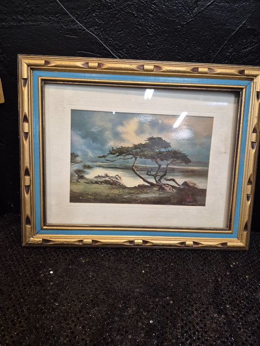 Vintage Verna McCubbin Monterey Bay Cypress Tree, 15" × 12"