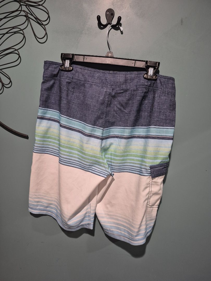 Blue, Teal, & White Hang Ten Striped Board Shorts, 34