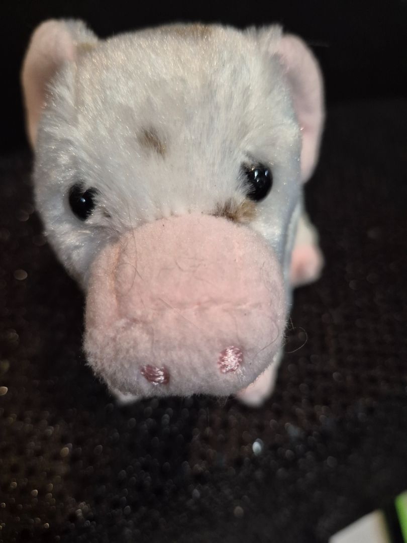 Pink w/Brown Spots  Douglas Spotted Pig, 7"