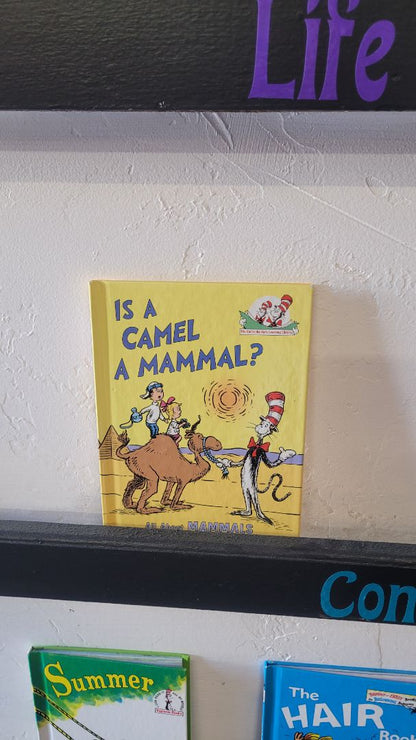Dr. Seuss Book