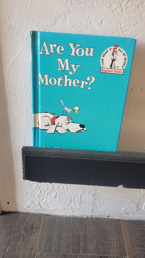 Dr. Seuss Book
