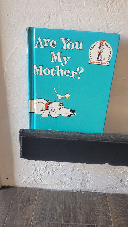 Dr. Seuss Book