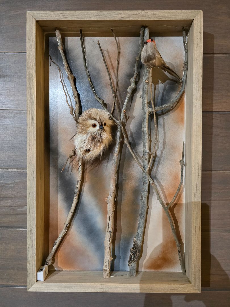 Orange Bird Handmade Aspen Owl Framed Box "The Watcher and the Wanderer", 22 x 13 .5 x 2