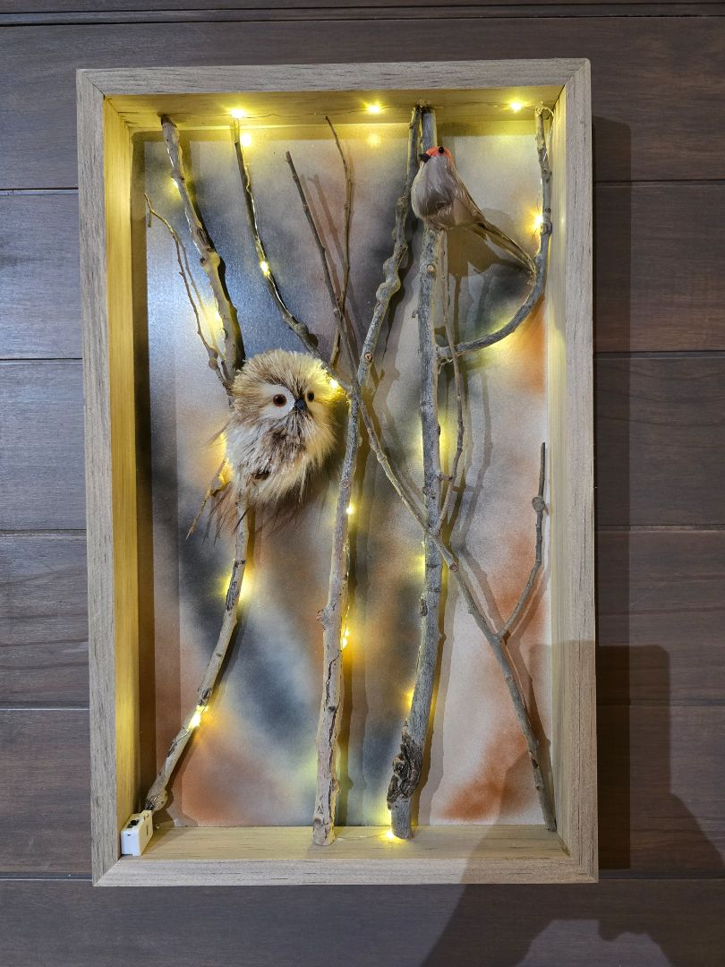 Orange Bird Handmade Aspen Owl Framed Box "The Watcher and the Wanderer", 22 x 13 .5 x 2