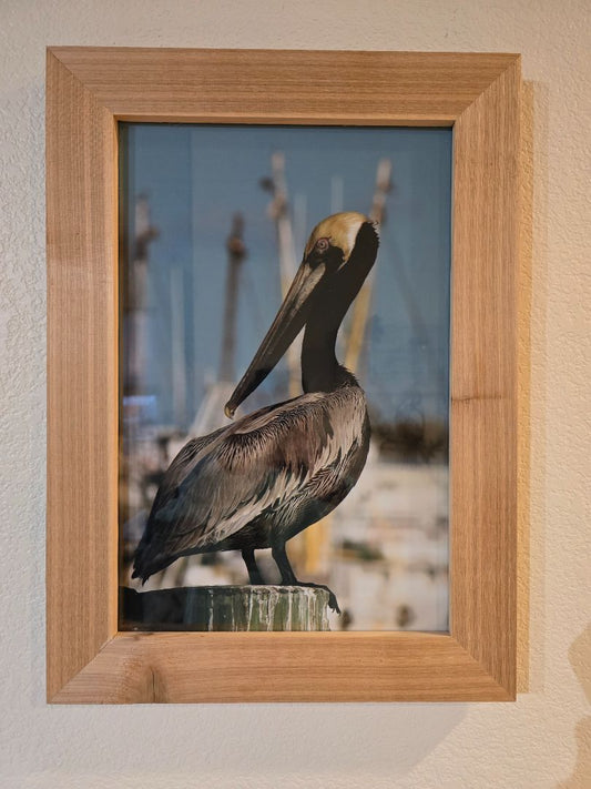 Photo Wildlife Photography, 22 x 16 x 1.25