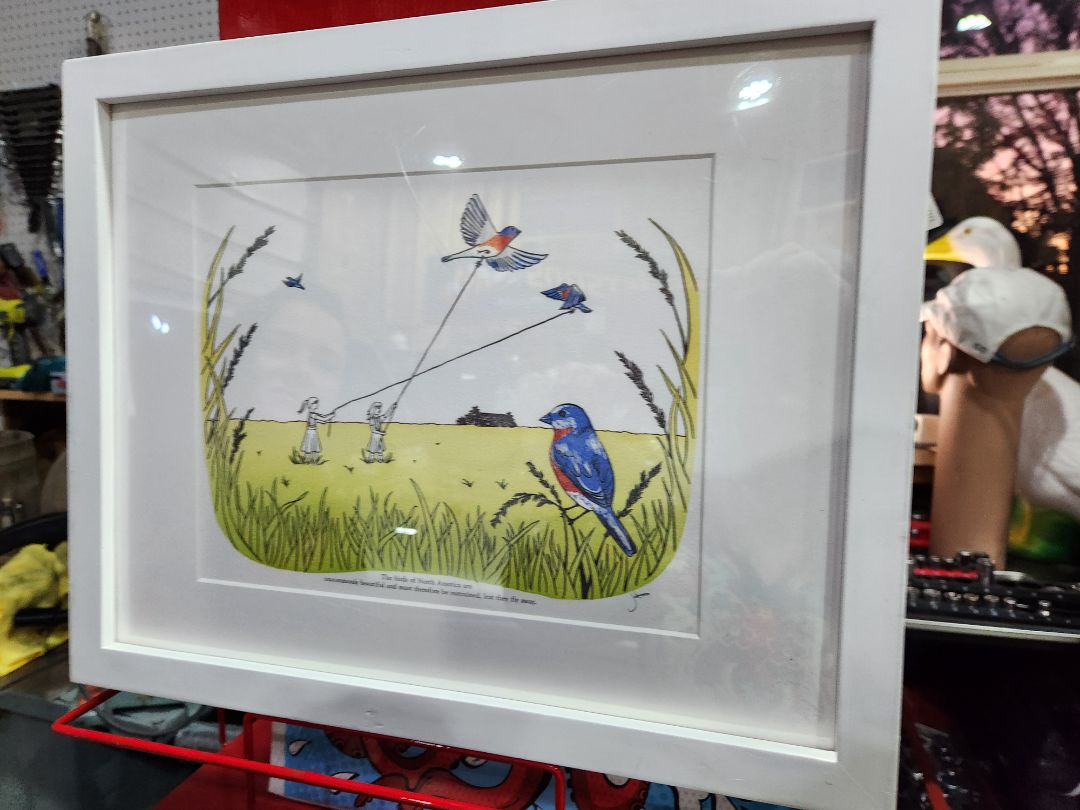 "Birds of America " Cartoon print Jessica White
