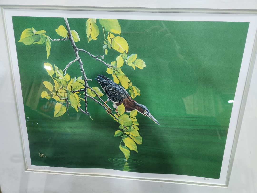 Bird - Green and Yellow- Framed