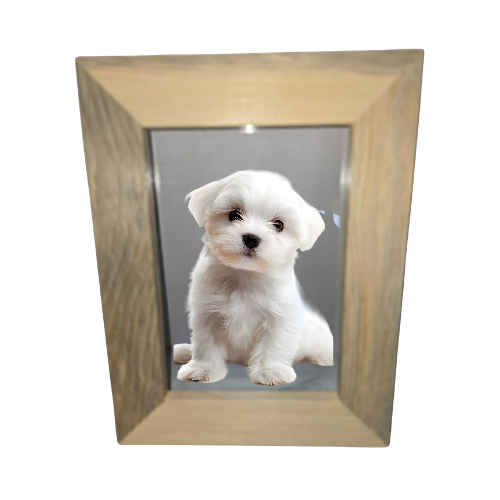 Blue Beatle Pine Wood Handmade Picture Frame, 8.5 x 11