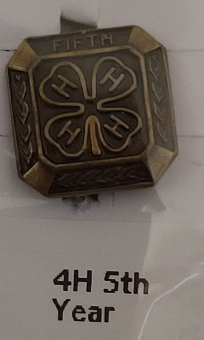 Pin-Commemorative