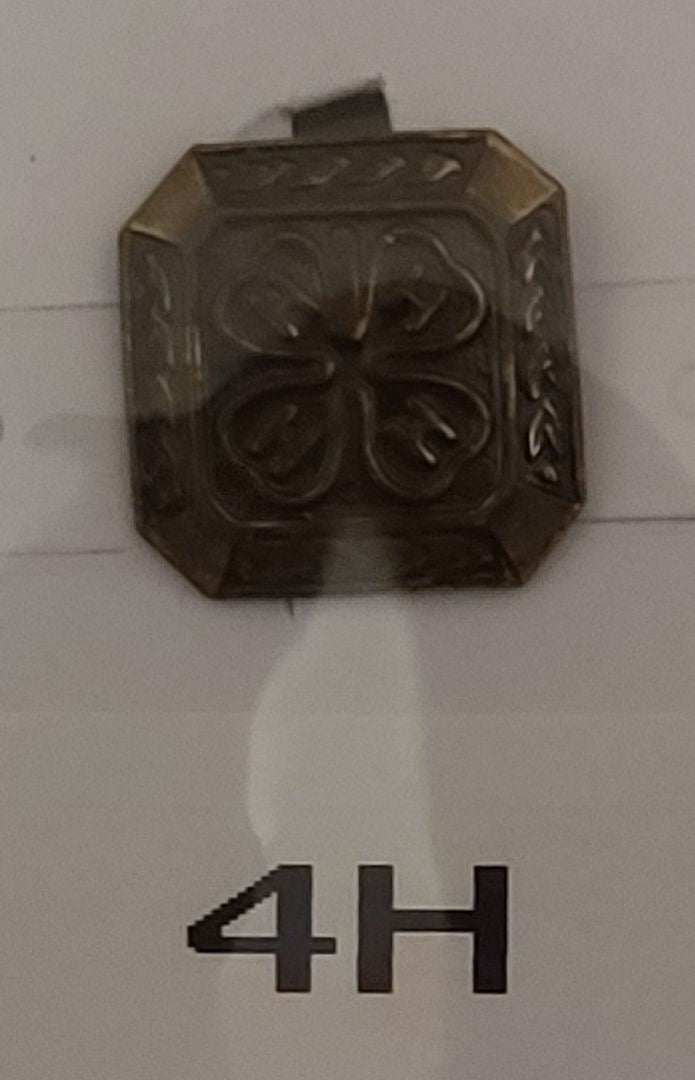 4H Clubs of America