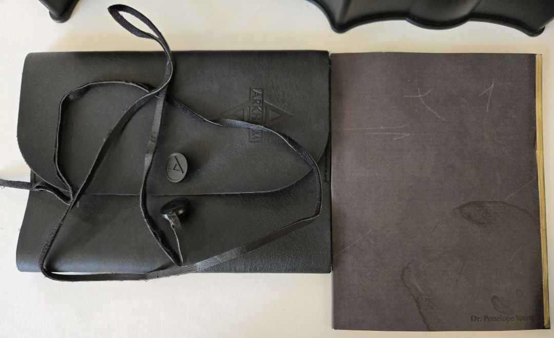 Batman Arkham Asylum Batarang