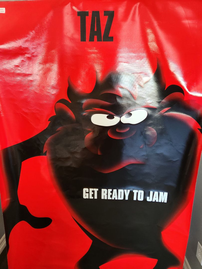 Space Jam Banner- Taz