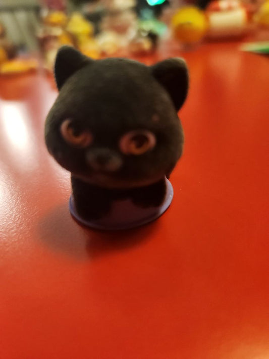 KITTY IN MY POCKET ACE