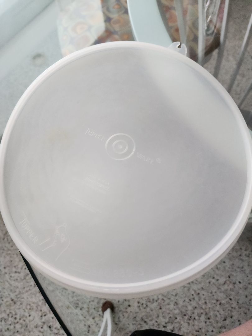 TW CLEAR LID 230-3