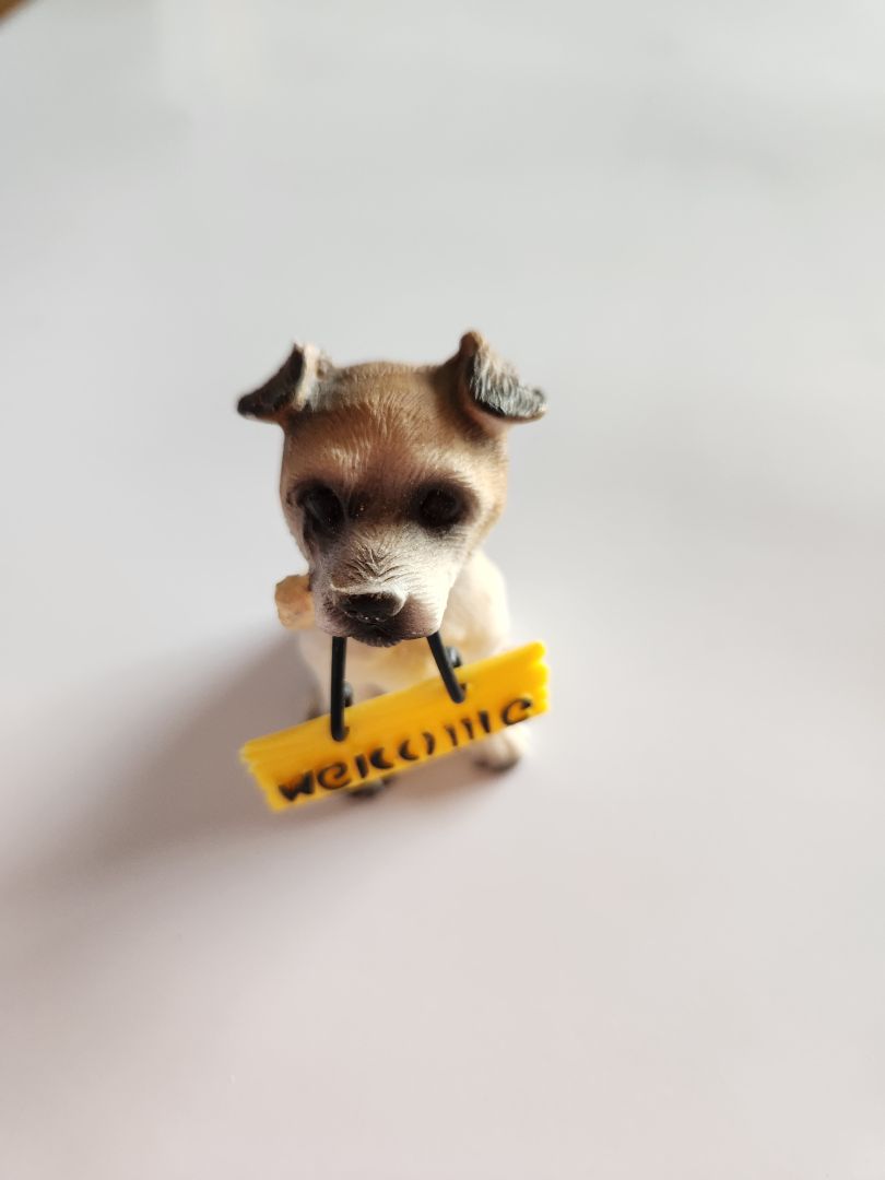 Welcome dog