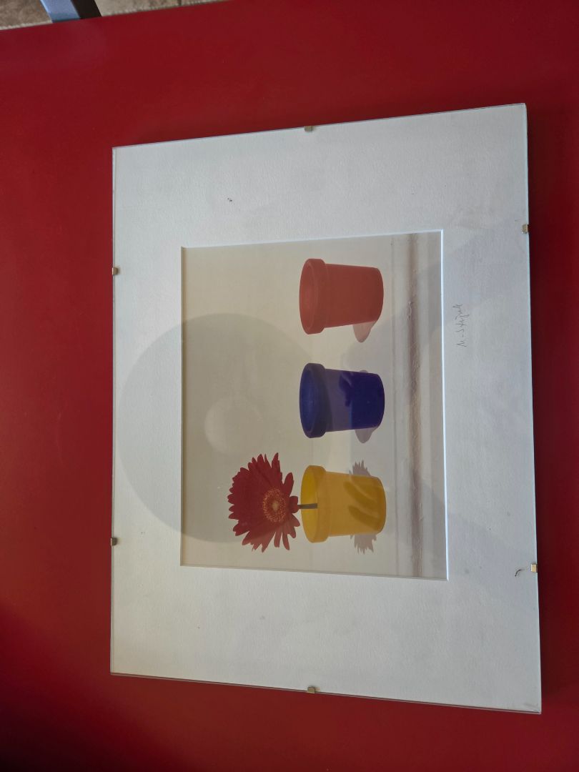 3 POTS PHOTO