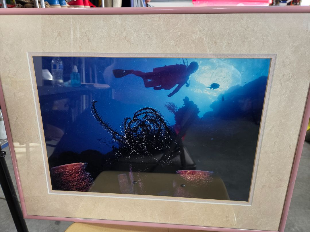 SCUBA PICTURE