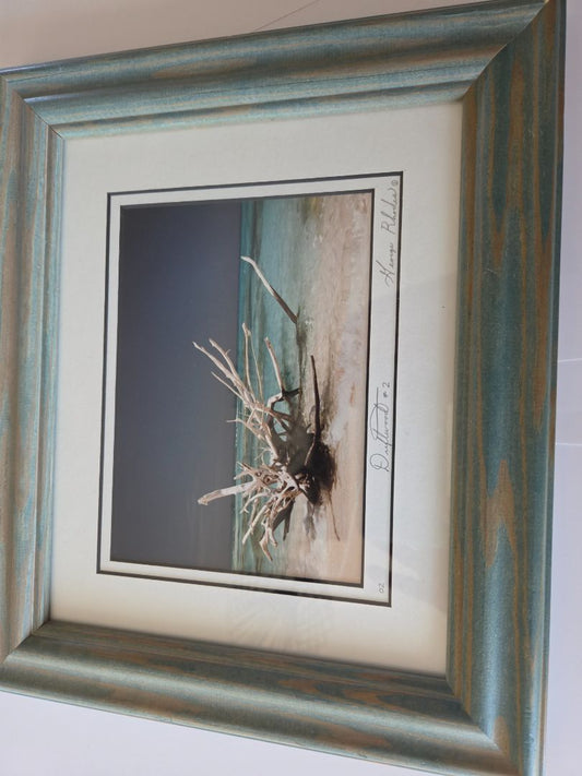 Photo- Driftwood #2