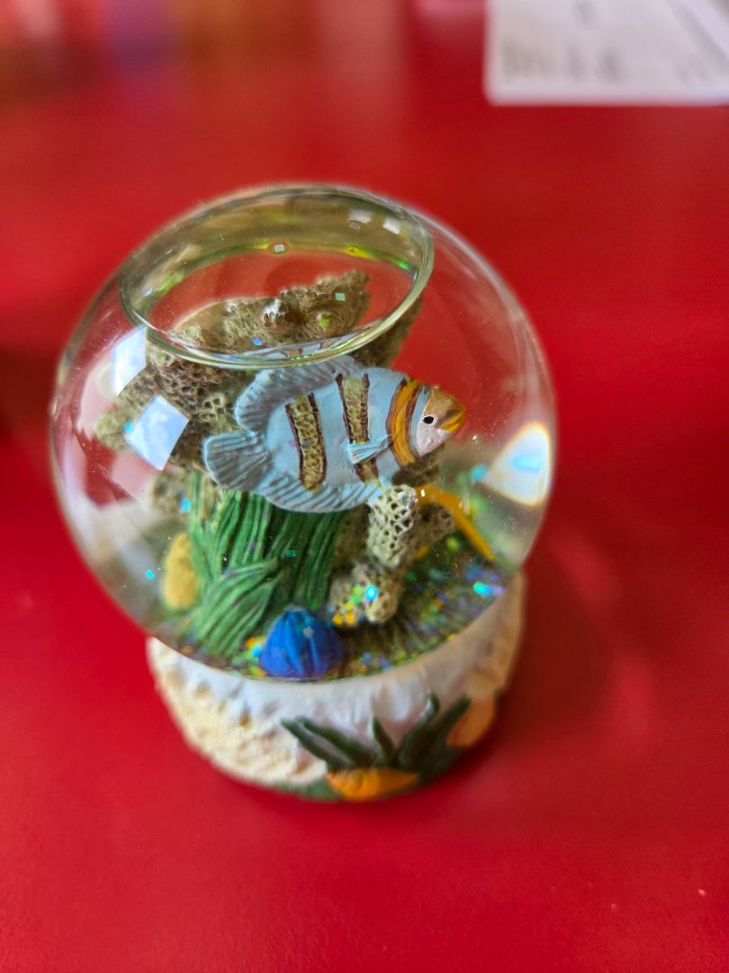 Small Fish Snowglobe