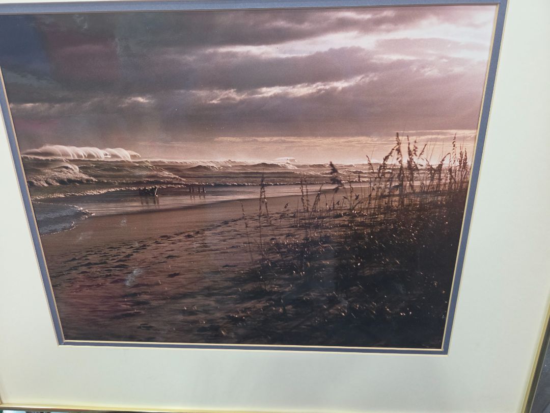 BEACH SCENE- BROWN TINT
