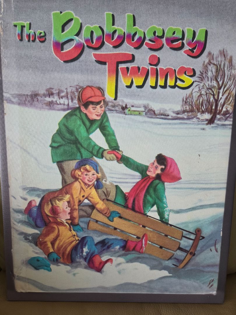 Bobbsey Twins Cover art