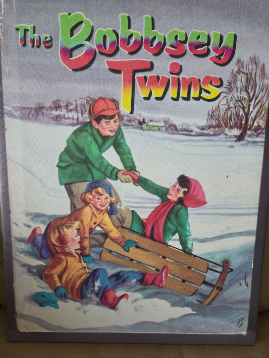 Bobbsey Twins Cover art