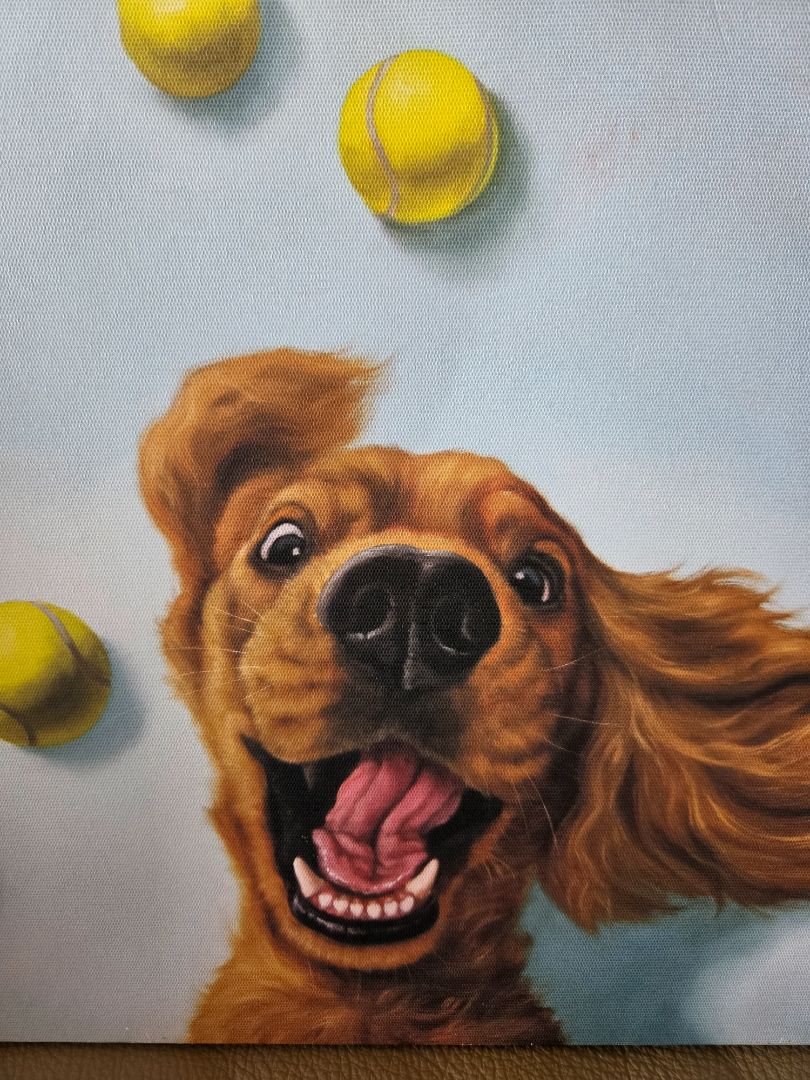 Dog and Tennis balls cover art