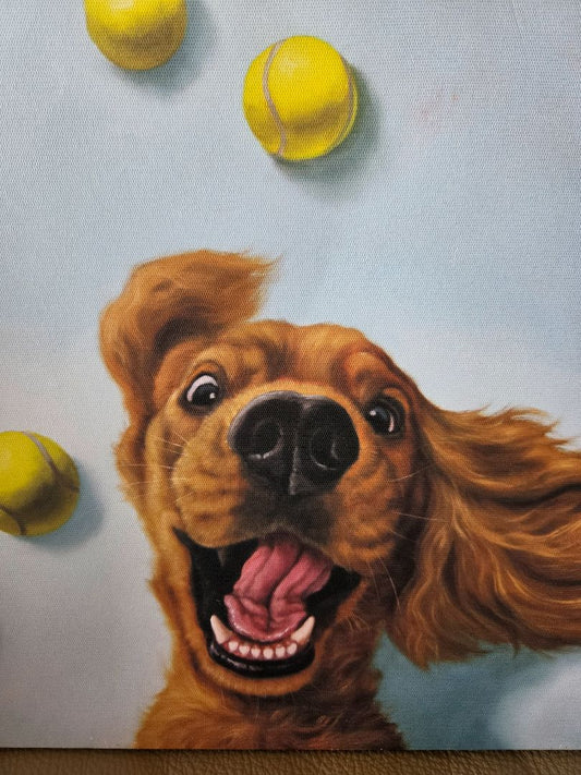 Dog and Tennis balls cover art