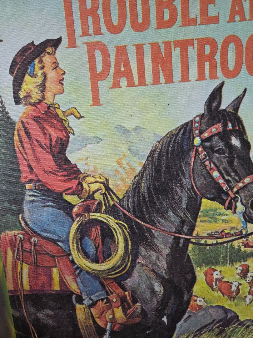 Troble at Painted Rock cover art
