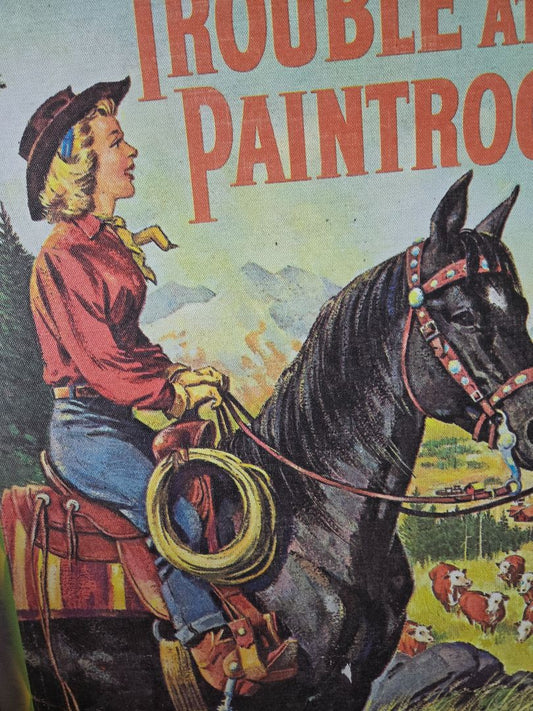Troble at Painted Rock cover art