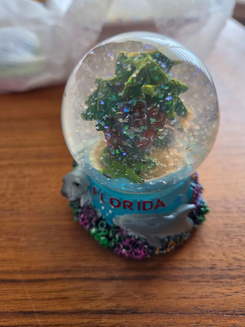 FLORIDA SNOWGLOBE
