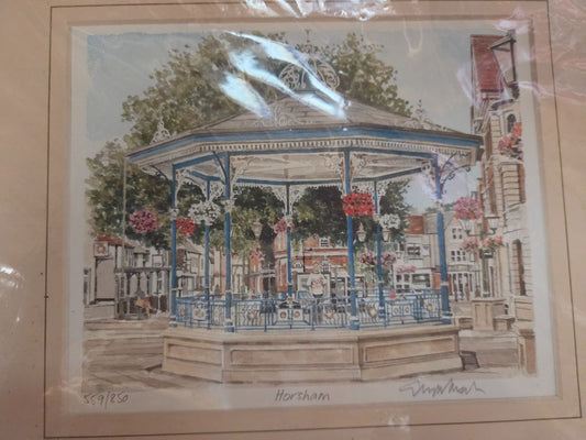 "Horsham" Print Glyn Martin  559/850