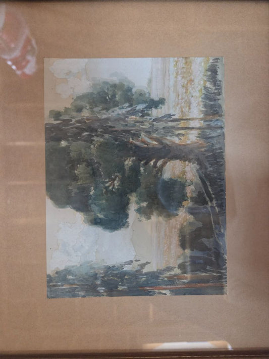 Tree watercolor signed JT Sar...
