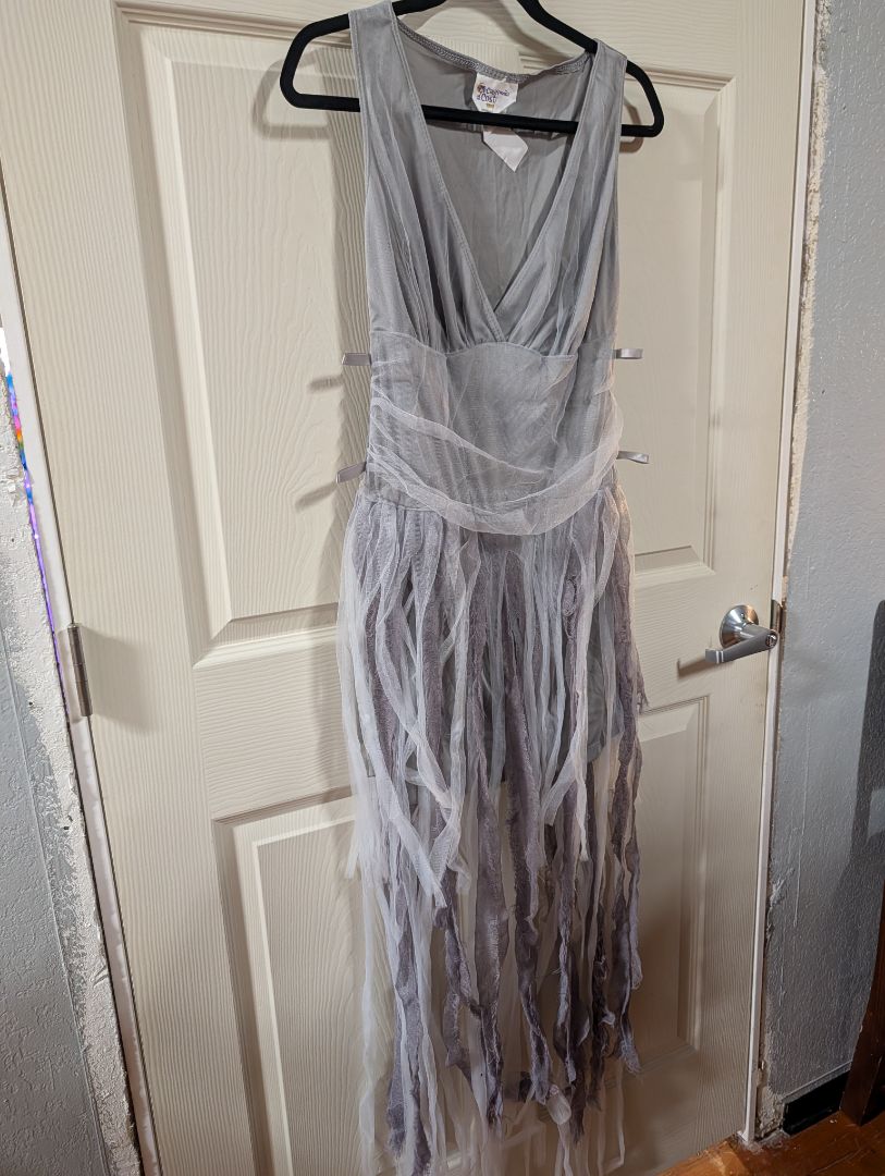 Haunting Beauty Ghost Dress & Hood, LG