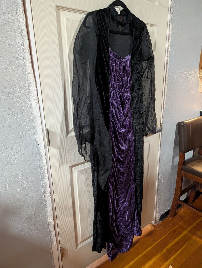 Black & Purple Costume Dress