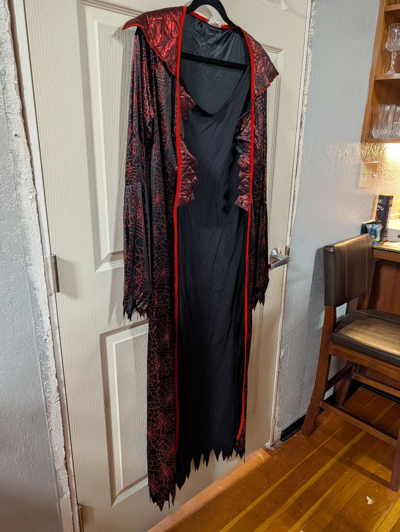 Black & Red Sider-web Dress