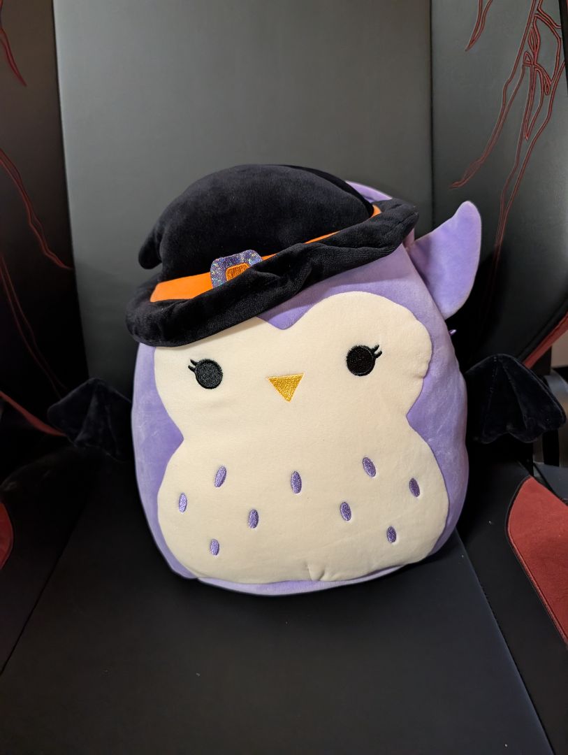 Squishmallow Holly Owl Treat Pail
