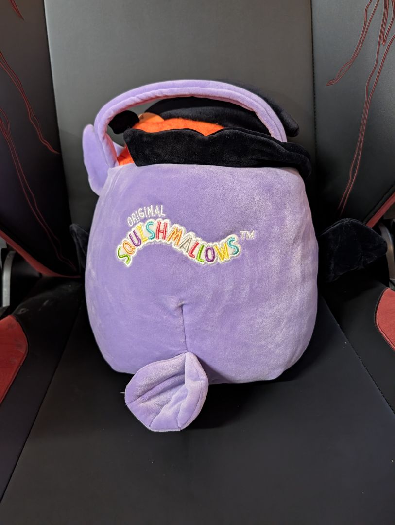 Squishmallow Holly Owl Treat Pail