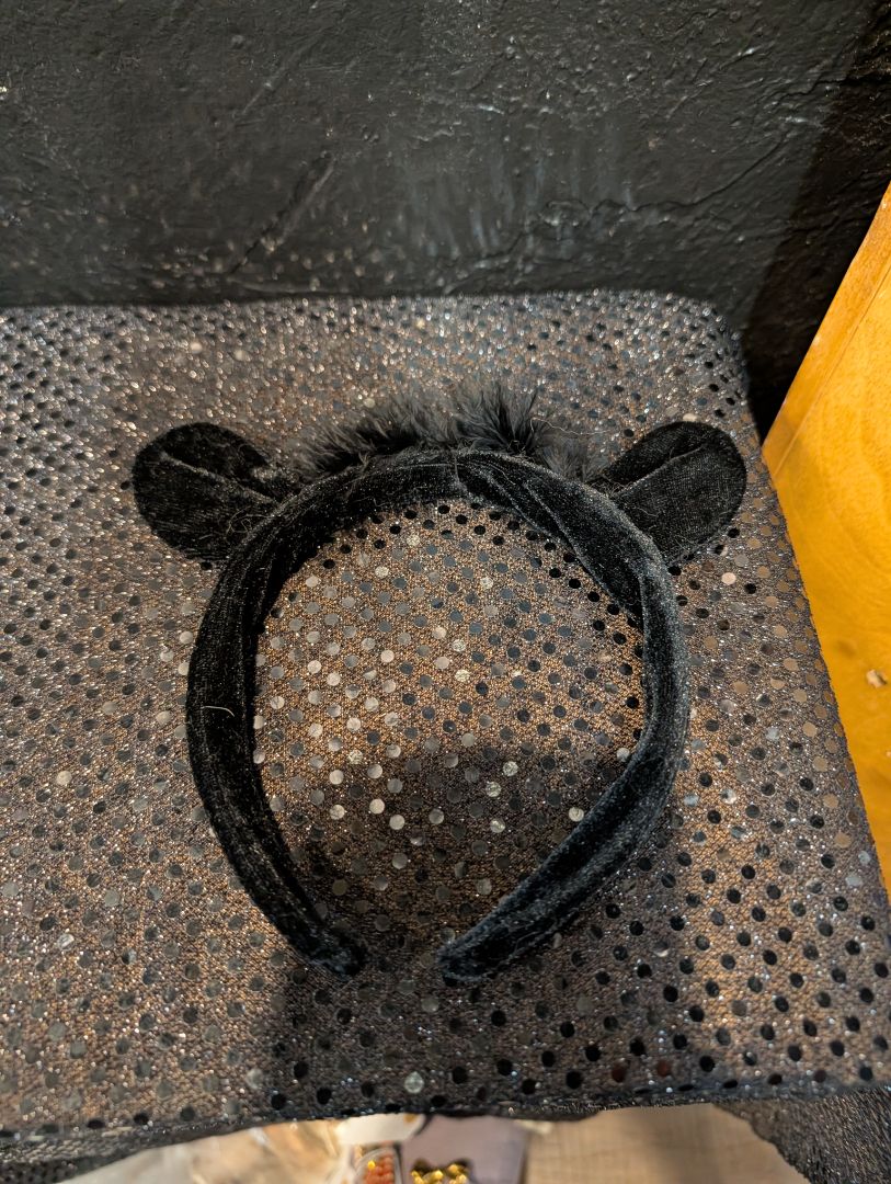 Ears Headband