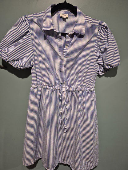 Blue/White Striped J. Crew Dress, 2