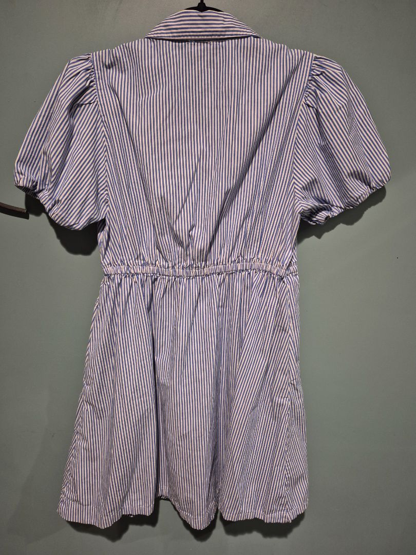 Blue/White Striped J. Crew Dress, 2
