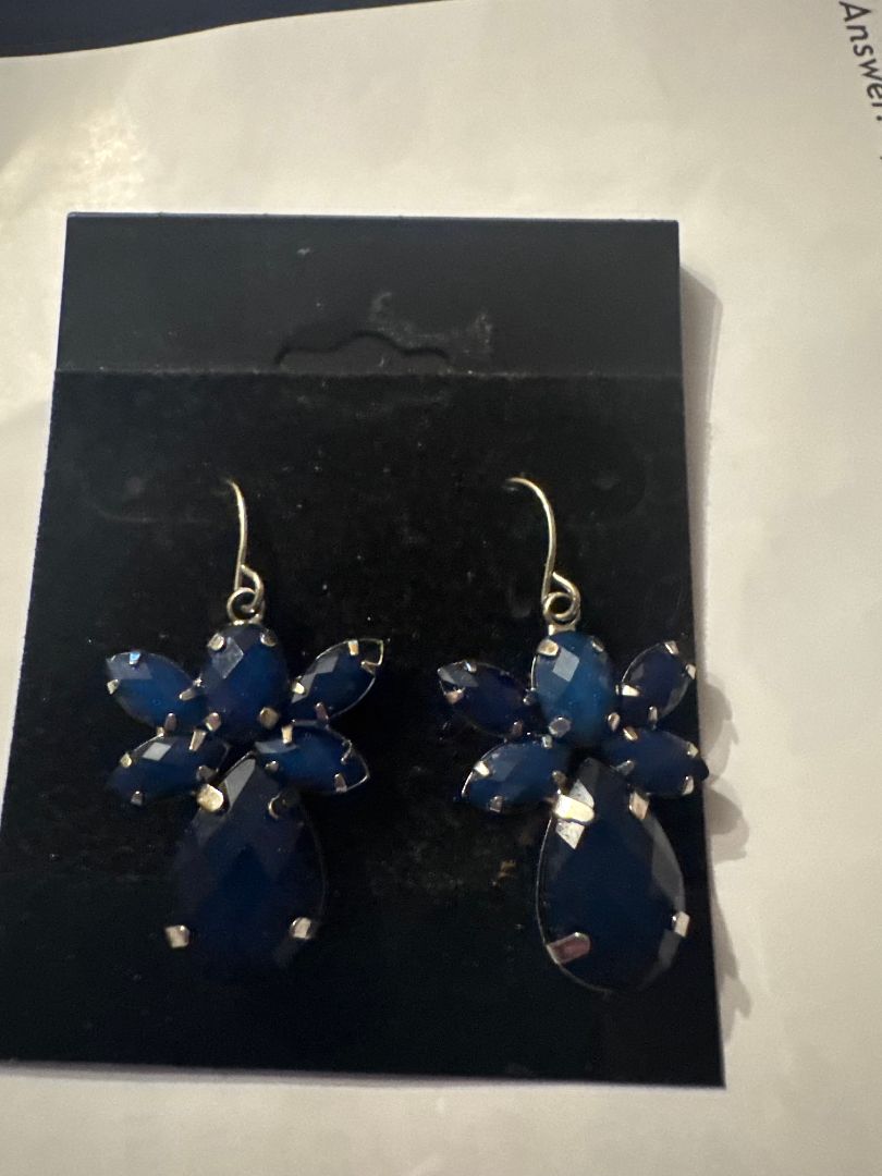 Look Through Photos- Earrings