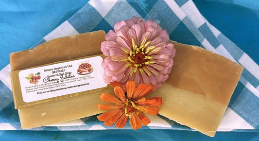 Ostara Organics Ltd LLC Fall Soap Bars