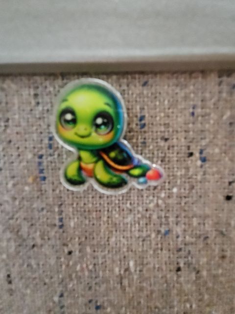 Assorted Acrylic Pins