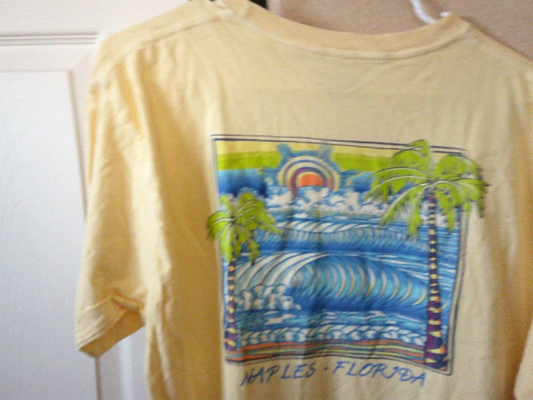 naples florida t-shirt