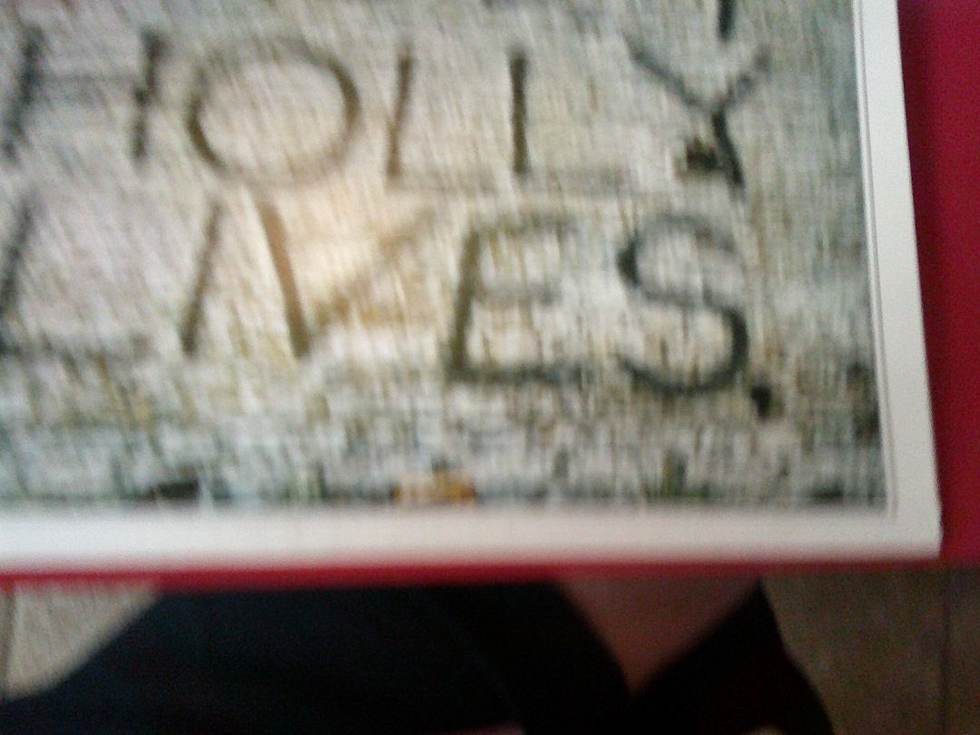 RECORD- BUDDY HOLLY LIVES 1978