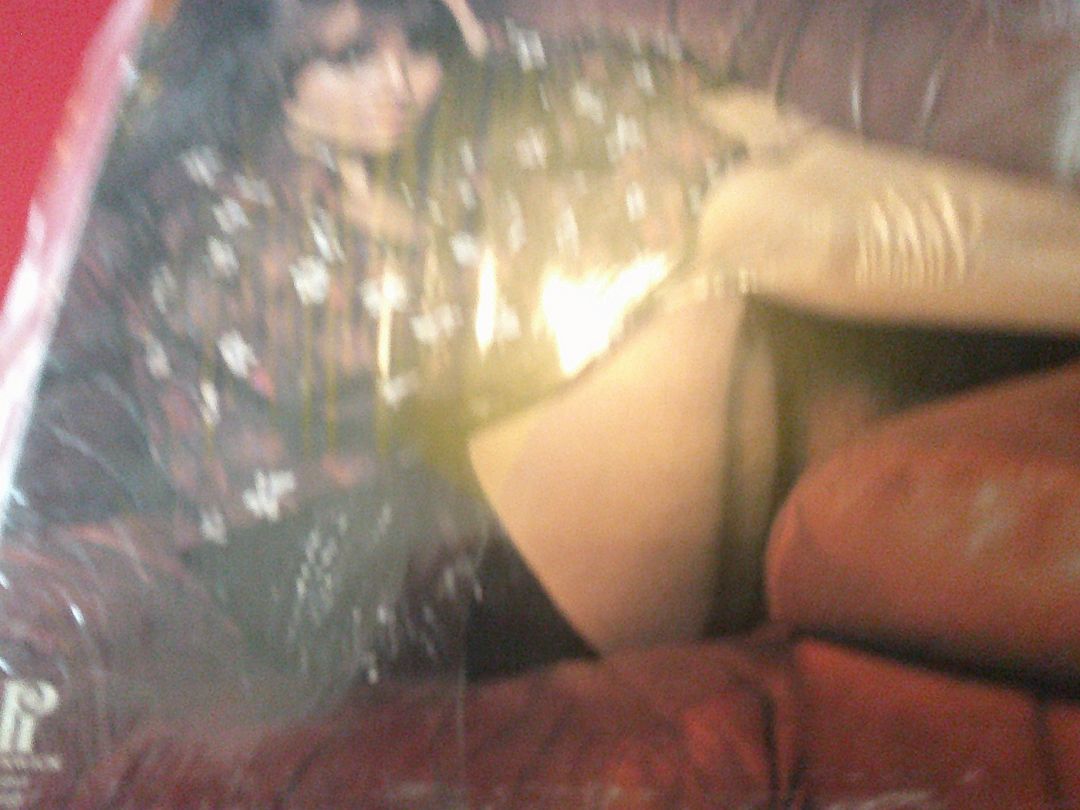 RECORD-LAST TANGO IN PARIS-1973