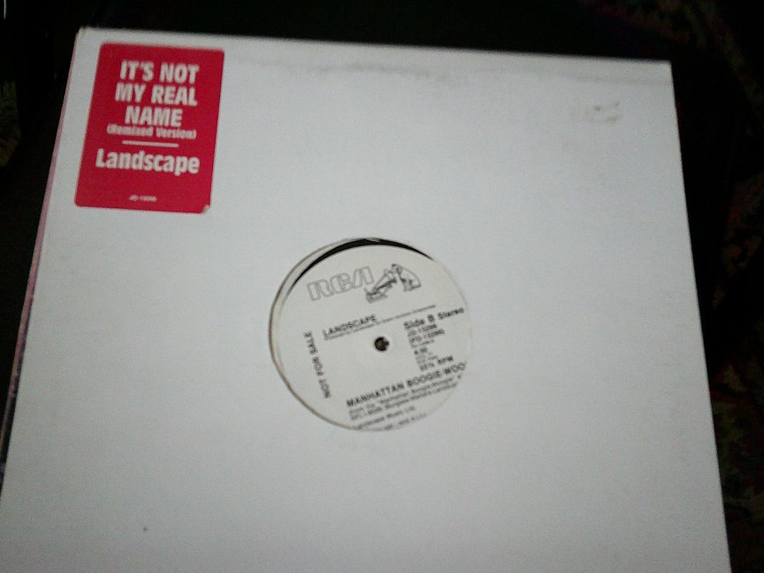 RECORD-LANDSCAPE-ITS NOT MY REAL NAME-1982