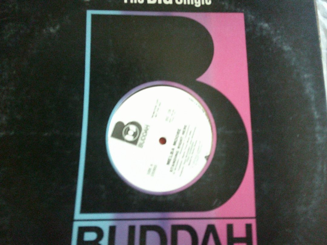 RECORD-BUDDAH-THE BIG SINGLE 1977